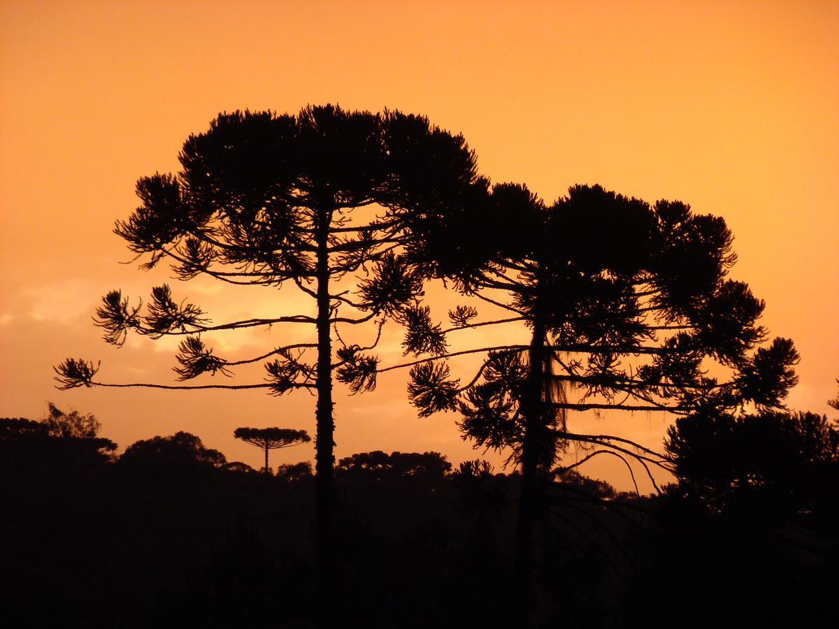 Hotel Pousada Das Araucarias Rio Negrinho Εξωτερικό φωτογραφία