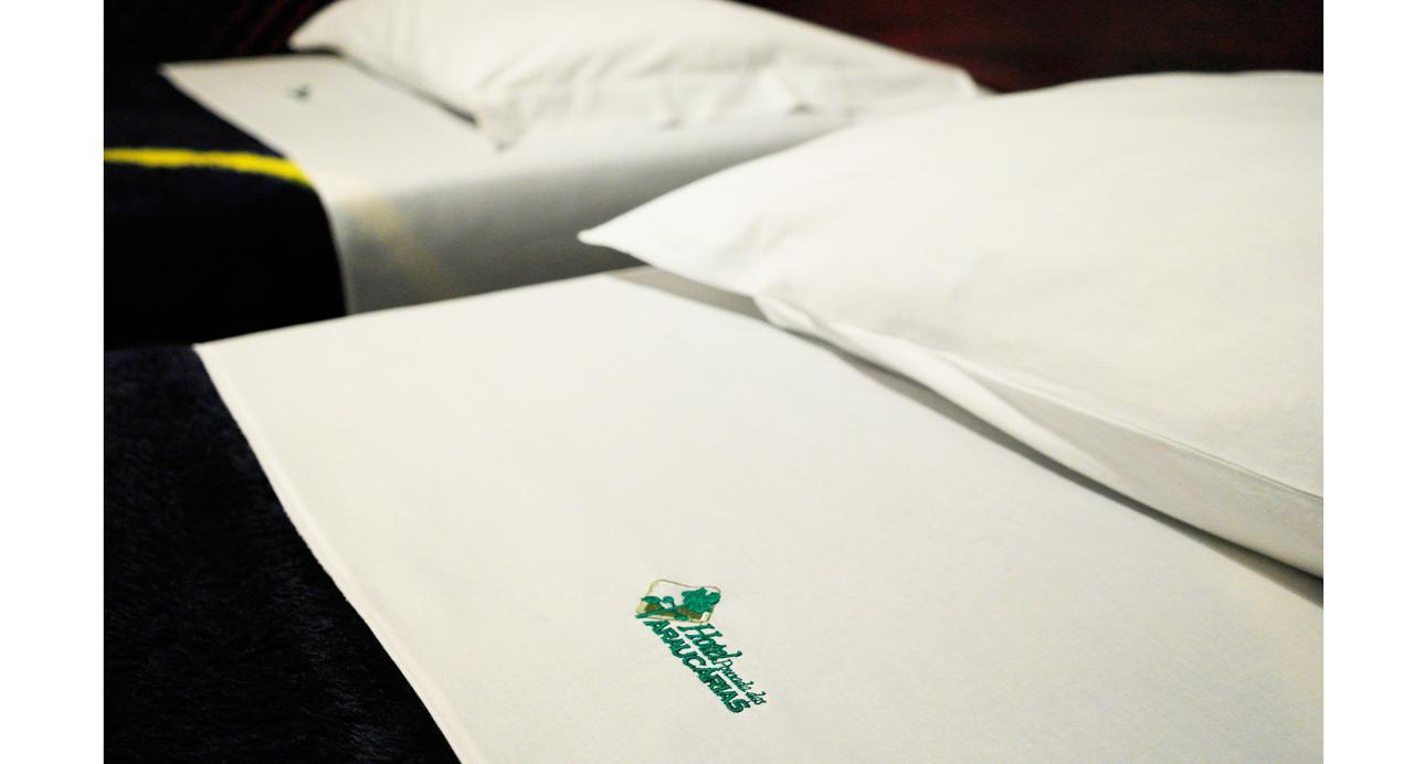 Hotel Pousada Das Araucarias Rio Negrinho Δωμάτιο φωτογραφία